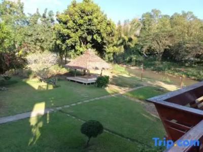 Pai Vimaan Resort - 88