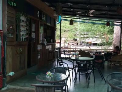 The Sylvana Pai - 17