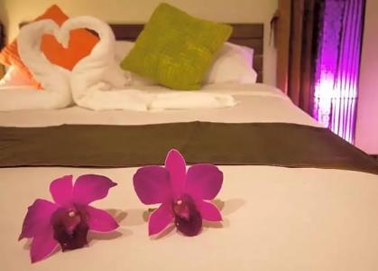 The Sylvana Pai - 56