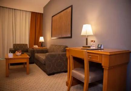 Golden Tulip Apartments - 132