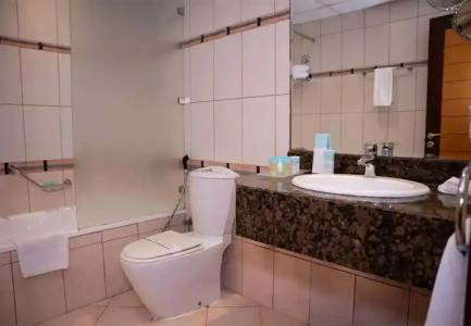 Golden Tulip Apartments - 135