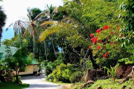 Lucky Resort - 30