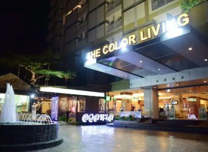 The Color Living