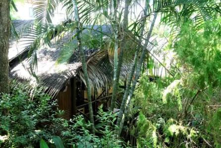 Baan Sukreep Resort - 182