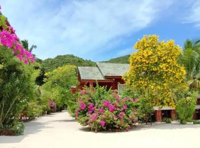 Seaboard Bungalow - 10