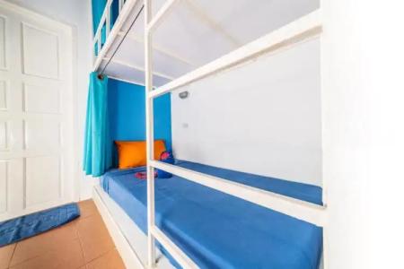 Shiralea Backpackers Resort - 54