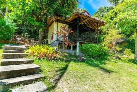 Shiralea Backpackers Resort - 77