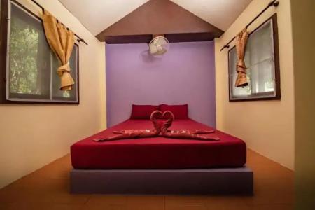 Shiralea Backpackers Resort - 93