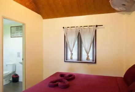 Shiralea Backpackers Resort - 29