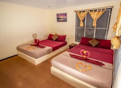 Shiralea Backpackers Resort - 1