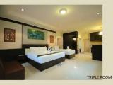 Standard Triple room with balcony and with garden view