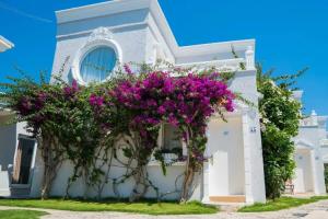 Art Suites Hotel, Yalikavak