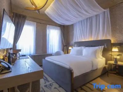 Alfina Cave-Special Category - 59