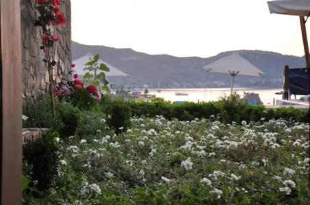 Badem Tatil Evi - 22