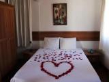 Standard Double room with pool view
