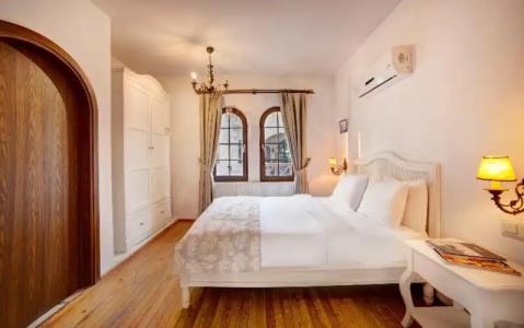 VINIFERA VINEYARDS - 69