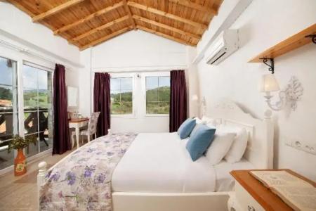 VINIFERA VINEYARDS - 60