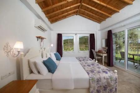 VINIFERA VINEYARDS - 56