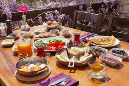 VINIFERA VINEYARDS - 12