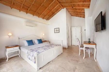 VINIFERA VINEYARDS - 51