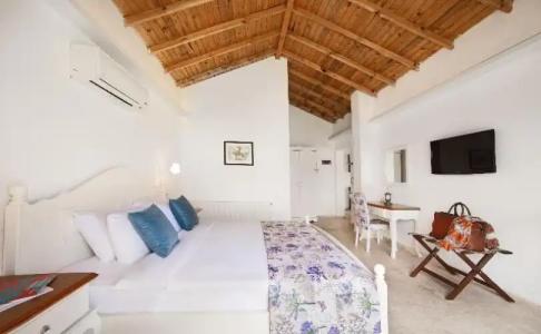 VINIFERA VINEYARDS - 70