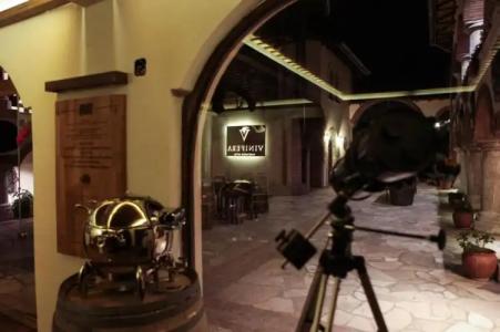 VINIFERA VINEYARDS - 21