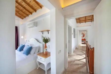 VINIFERA VINEYARDS - 81