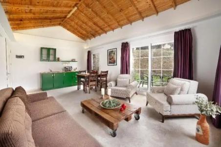 VINIFERA VINEYARDS - 65