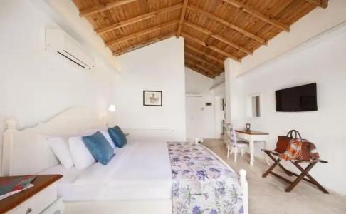 VINIFERA VINEYARDS - 88