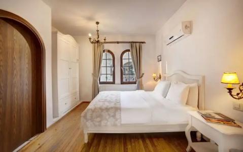 VINIFERA VINEYARDS - 26