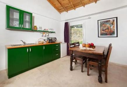 VINIFERA VINEYARDS - 46