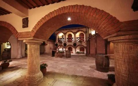 VINIFERA VINEYARDS - 13