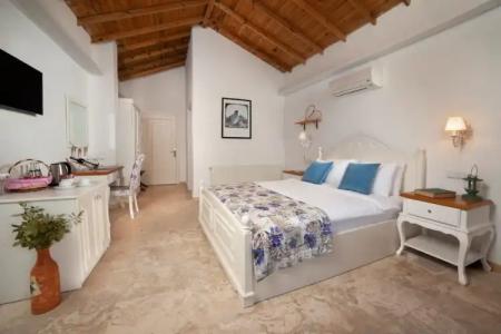 VINIFERA VINEYARDS - 94