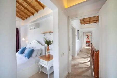 VINIFERA VINEYARDS - 98