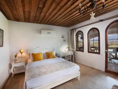 VINIFERA VINEYARDS - 41