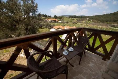 VINIFERA VINEYARDS - 63