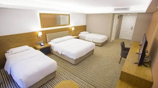 Aktug Elegance - 131