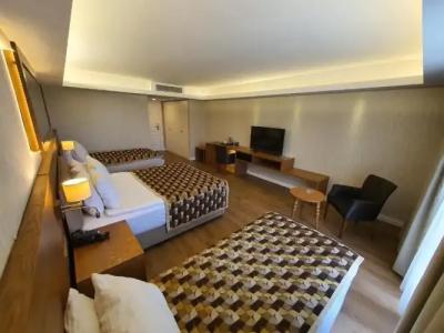 Aktug Elegance - 135