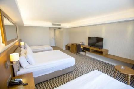 Aktug Elegance - 139