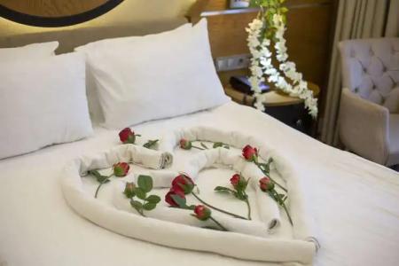 Aktug Elegance - 186