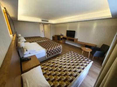 Aktug Elegance - 147