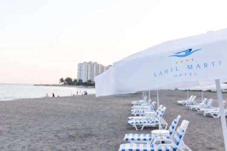 Sahil Martı - 12