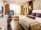 Deluxe Double room with garden view
