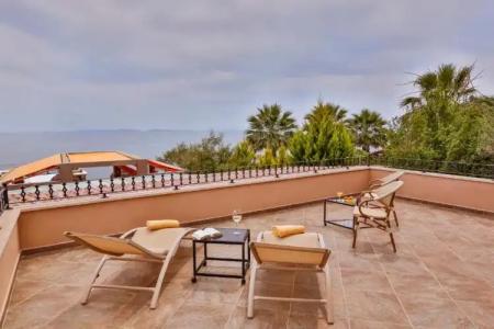 Palace Olive Odore - 42