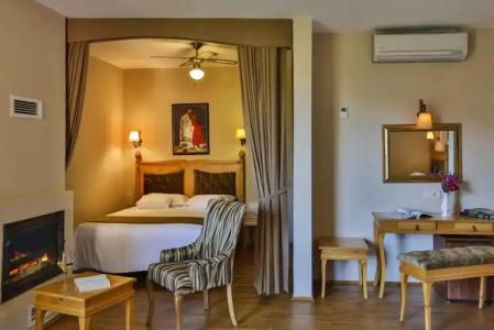 Palace Olive Odore - 5