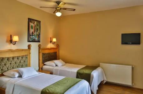 Palace Olive Odore - 36