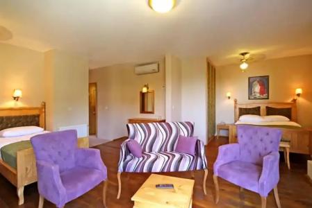 Palace Olive Odore - 4