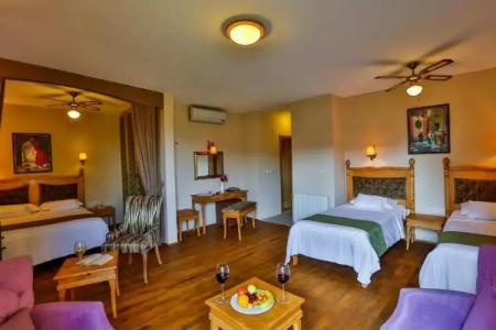 Palace Olive Odore - 28