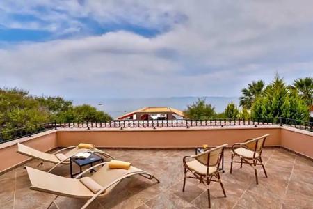 Palace Olive Odore - 16