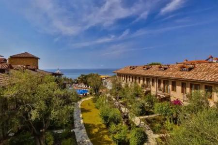 Palace Olive Odore - 0